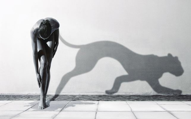 Laura: Я, - кошка (зарисовки со стороны) - вІрш, вірші, поез.
