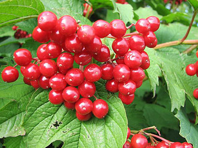 http://www.poetryclub.com.ua/upload/poem_all/00297562.jpg