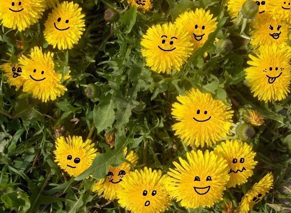 http://www.poetryclub.com.ua/upload/poem_all/00398891.jpg