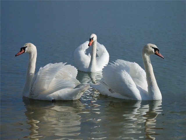 http://www.poetryclub.com.ua/upload/poem_all/00465437.jpg