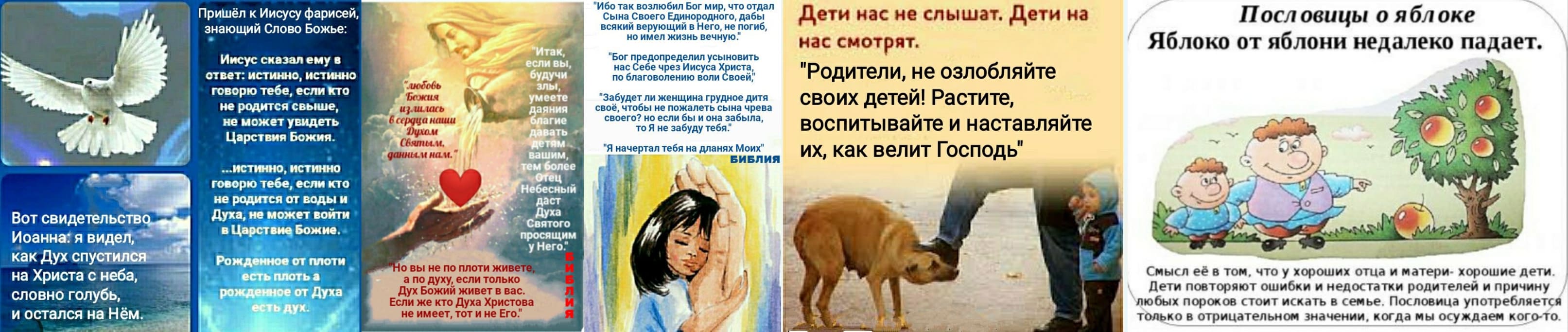 Ведомая любовью :: Взглядом любящих глаз