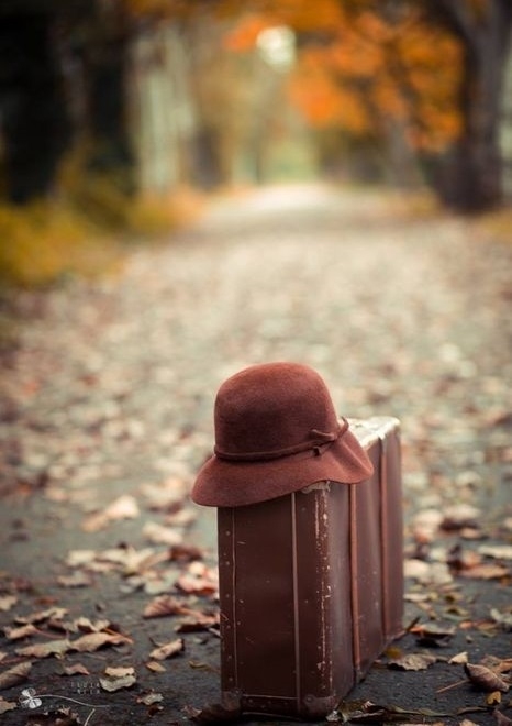 liza Bird :: Вже осінь валізу зібрала