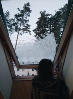 ���� ����