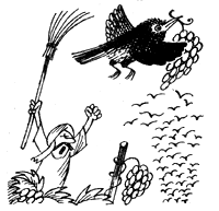 ���� ��������� :: ����� � �������� ������