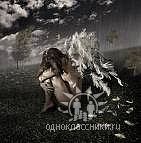 ������� :: ����������� ������ ��������...