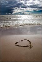 ������ �. :: ��� ������