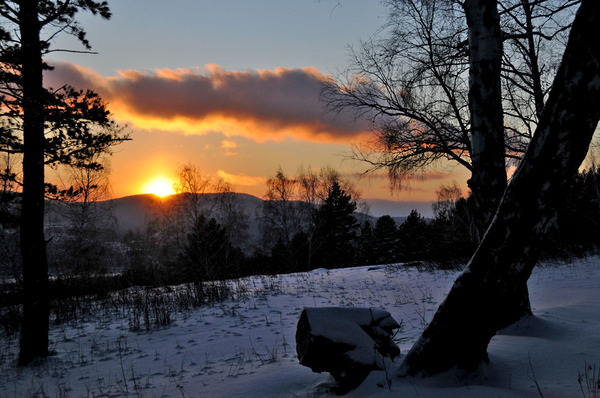 Окрилена :: В каруселі закрутилася зима