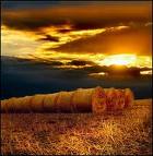 г���� :: ˳���� �������