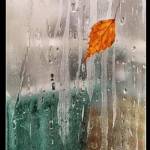 ����� :: ��� ����� ���������� �������