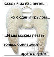 Lilafea :: , , ,     ()