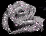 г :: *-*-*-*-*-*