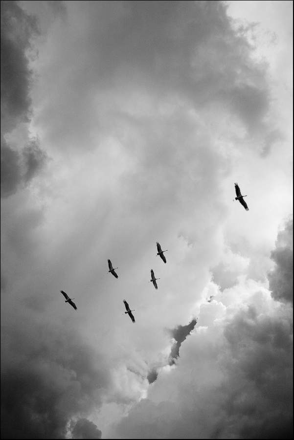 kpyk :: не зупиняйся