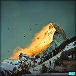 333 :: � ���� ��������� �����