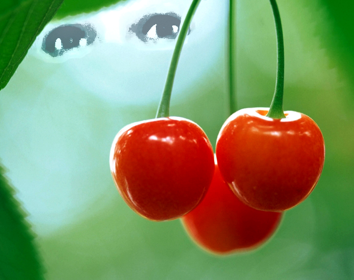 Valery Bor :: Три вишенки для О.