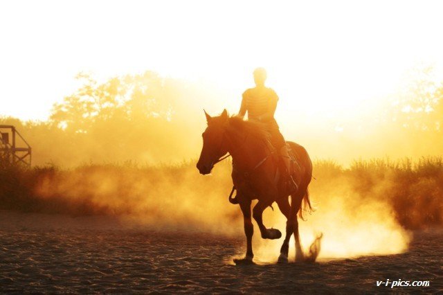 Dema :: По кругу