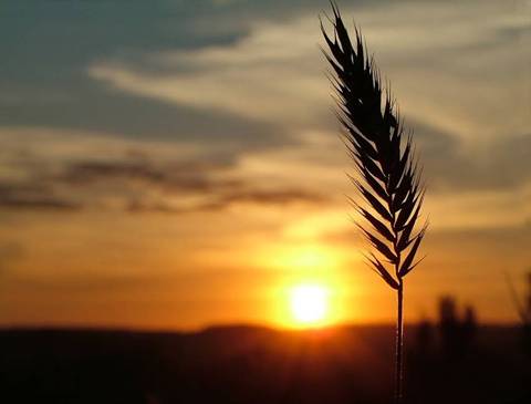 Андрій Бабич :: Я – верю в завтрашнее утро…