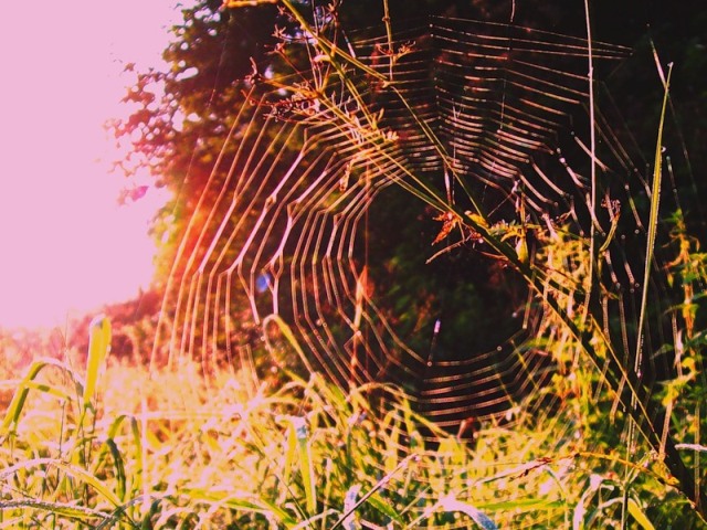 Сергей Дунев :: Бабье лето