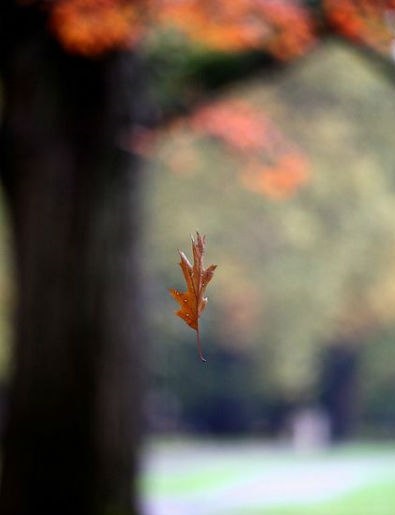 Валентина Капшук :: Прощання