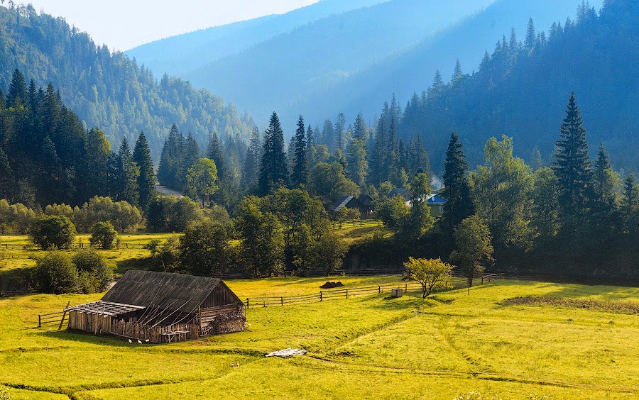 Кушнір Марина :: Закапраття, Мій рідний край!