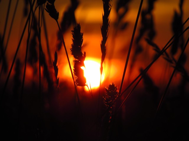 Евгений Капустин :: Приговори меня к закату