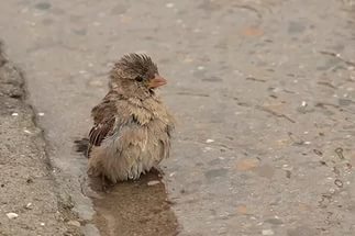 Dema :: Пришла пора