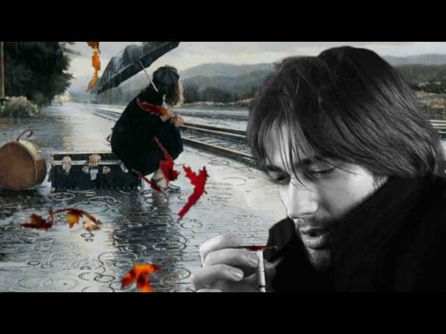 Dema :: Гурман