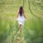 ����� ˳���� :: �����