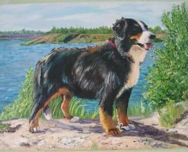 Щукіна (Гордієнко) Ірина :: Ребенок и животное в одной квартире