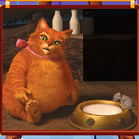 ����� :: ������ ʲ�