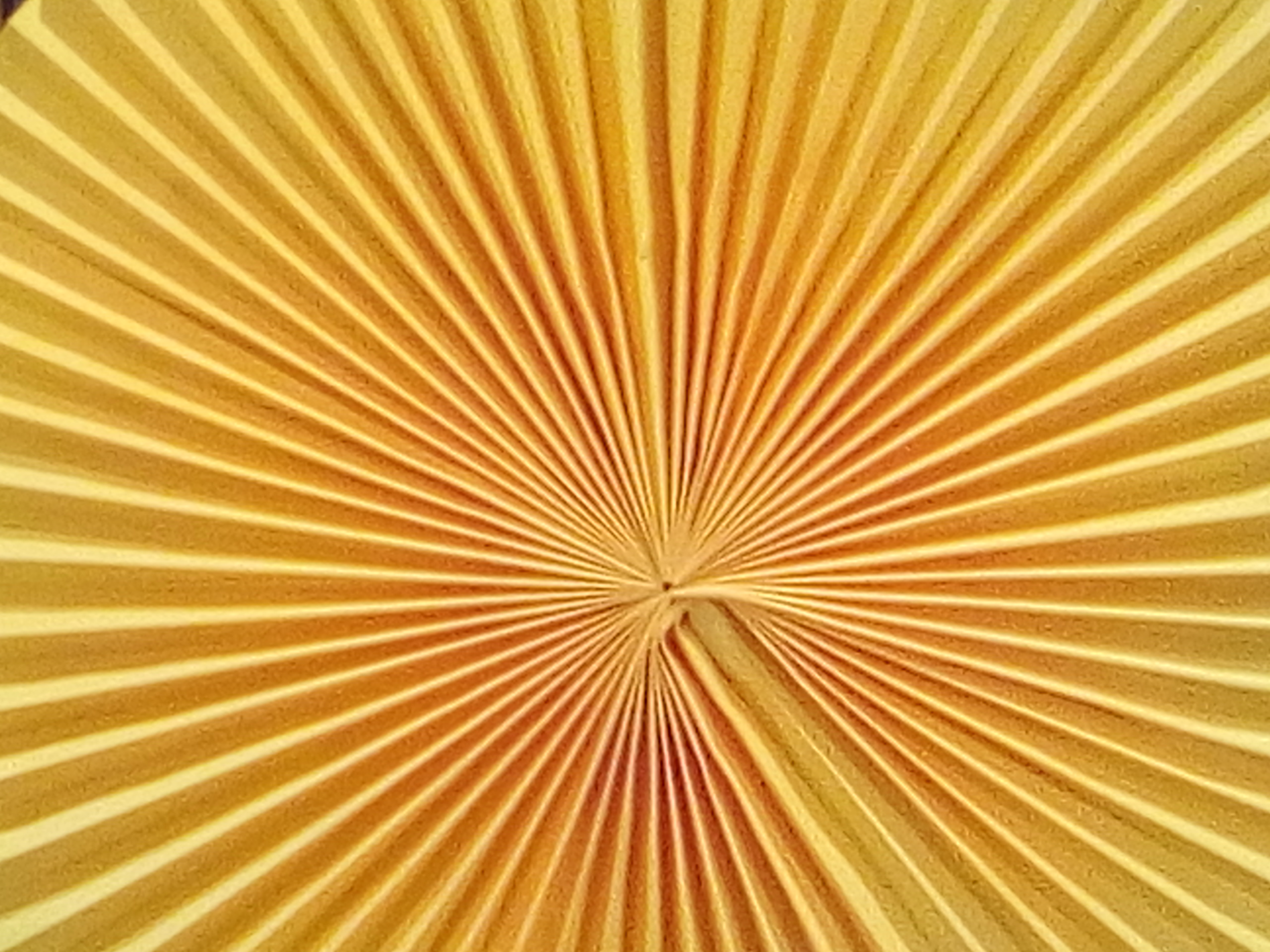 Міла Перлина :: Каруселі