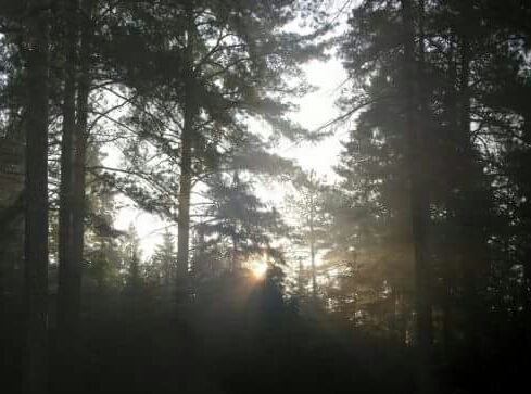 Протоієрей Роман :: Батьки