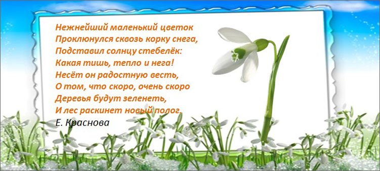 Тома :: Легенда. Перша посмішка весни. Пролісок.