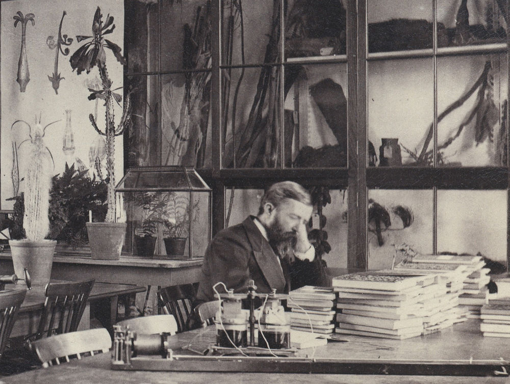 Тома :: НЕРЕАЛЬНІ РОБОТИ ЗІ СКЛА ЛЕОПОЛЬДА І РУДОЛЬФА БЛАШЕК