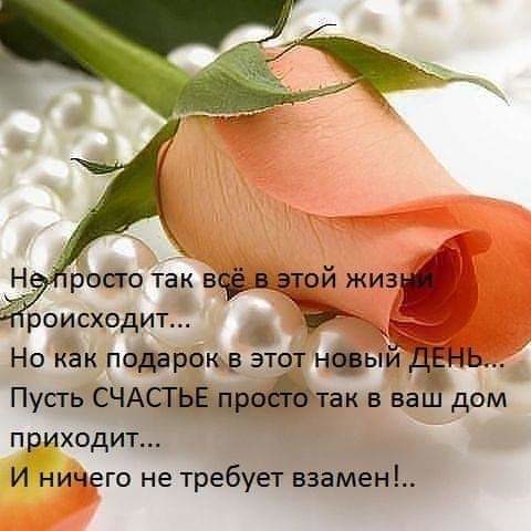 Тома :: Мистецтво робити те, що важливо для вас…