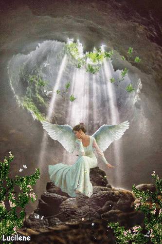 Lilafea :: НІЧ АНГЕЛА