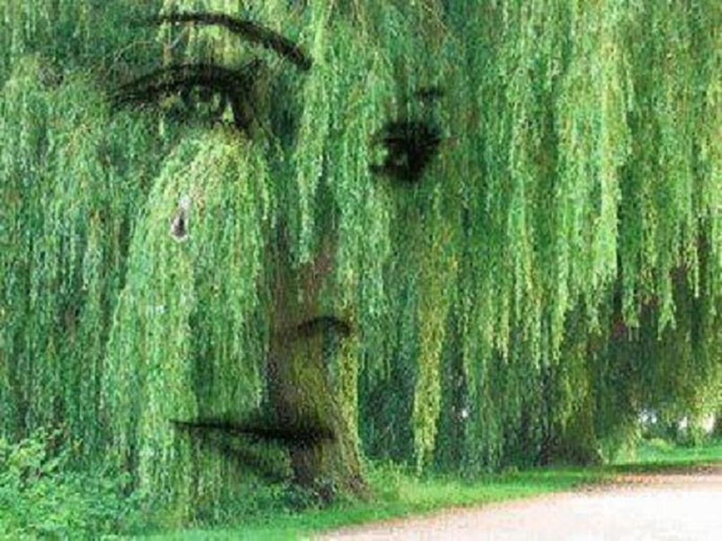 VIRUYU :: … РОКИ …