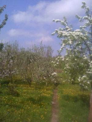 Тома :: Настрій…