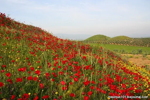 ���3003 :: �� �������� ���� �� �����…