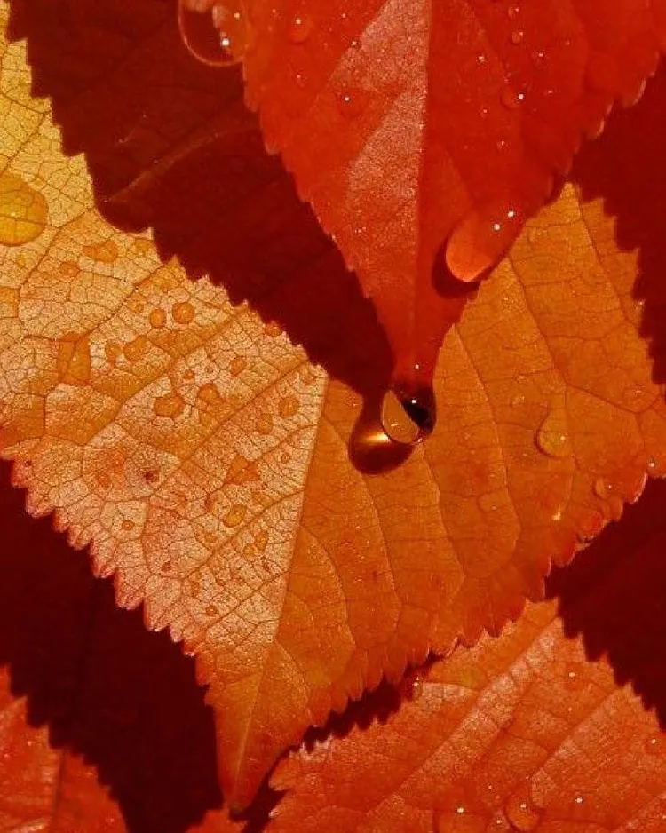 ���3003 :: �, ������ ������ ����� �������� �����,