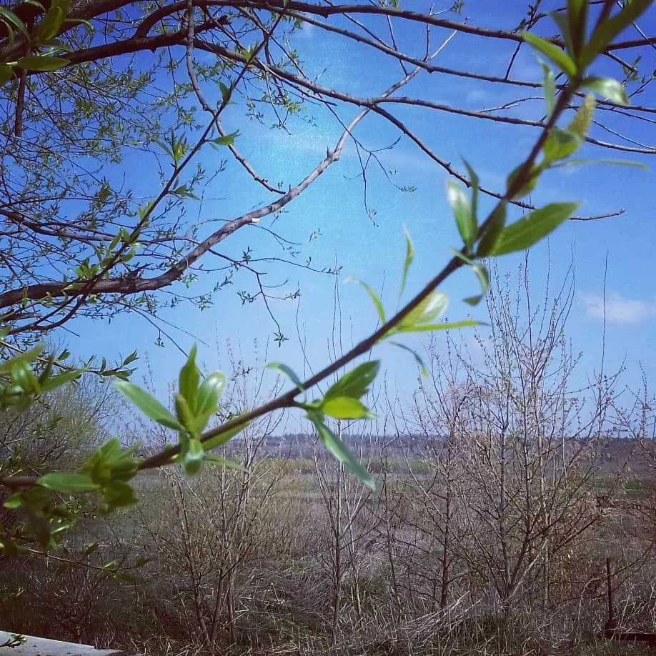 ����� ���������� :: �� ������� ����� �������� ���…