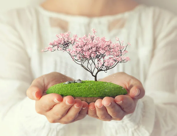 �_�_�_�_�_� :: �� ����� ���� ������